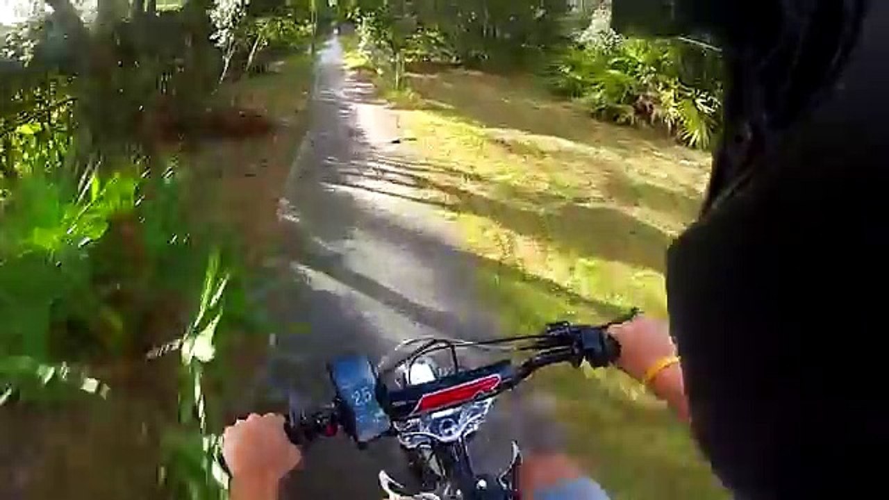 SSR Pit Bike Top Speed!