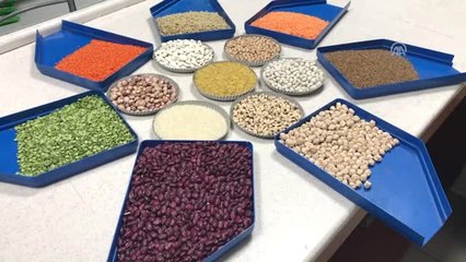 Ramazanda Bakliyat Tüketimi Önerisi