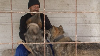 Fermeri nga Gjakova, i cili jeton me katër ujq - Lajme