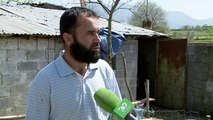 Kur grabitet “mbijetesa”, shtohen rastet e vjedhjes së bagëtive - Top Channel Albania - News - Lajme