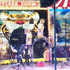 j.1y 업소알바 ≤구글 - 알바가자 ◀검색≥ 알바가자 룸텐프로알바,비지니스룸알바,아르바이트 구인구직 사이트 룸업소야간아르바리트 급여 일당 여자여성여대생남자고수익 고액 고페이 아르바이트 부산 창원 서울 경기 제주도 대전 울산 강남 신논현 업소소개:실장알바:여실장급여