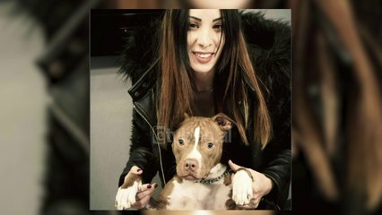 Nga dasma ne mort, 3 te vdekur ne aksident