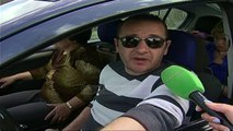 Emigrantët ikin pas feste, radhë të gjata në kufi me Greqinë - Top Channel Albania - News - Lajme