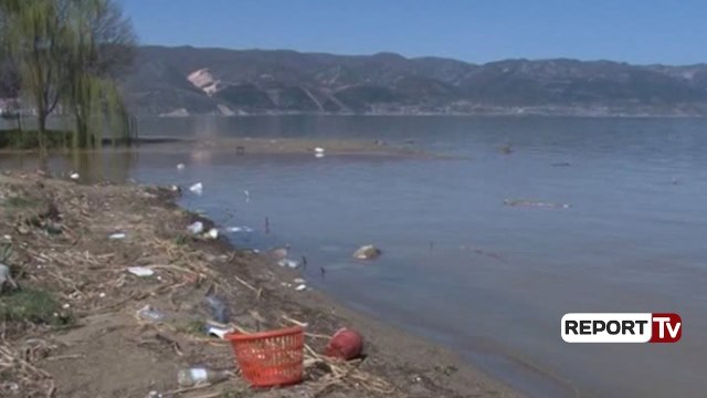 Report TV - Ujërat e zeza ndotin liqenin e Pogradecit