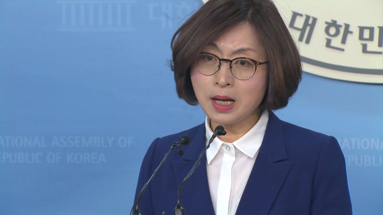민주당, 은수미 성남시장 후보 확정 / YTN