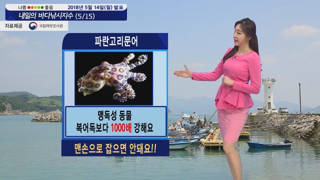 [내일의 바다낚시지수]5월15일 대부분 출조 가능하나 일부 포인트 강한 바람 영향 있어 / YTN