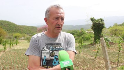 Gjirokastër, fermerët pa treg e pa rrugë - Top Channel Albania - News - Lajme