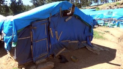 80 yaşında varlık içinde sefalet çekiyor