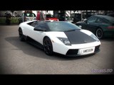 Lamborghini Murcielago Roadster - Black and White Wrap - Walkaround