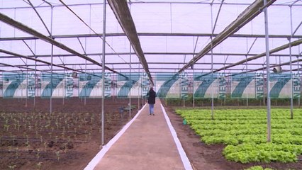 MBESHTETJA ME FONDE PER FERMERET - News, Lajme - Kanali 7