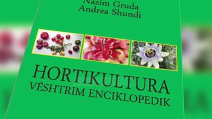 “Fjalori etimologjik”, Kolec Topalli merr çmimin “Çabej” - Top Channel Albania - News - Lajme