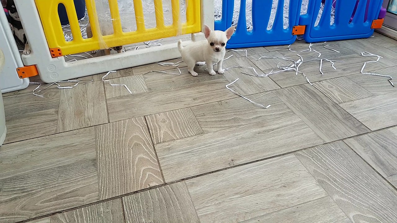 20180514_121938
