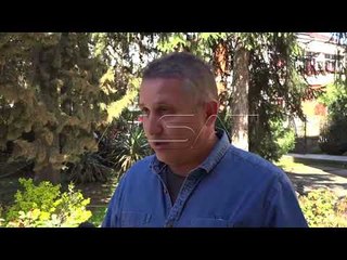 Eksporti i prodhimeve të drurit, kërkohen certifikata