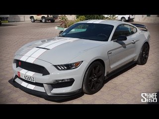 Shelby Mustang GT350R is an ANGRY BRUTE!