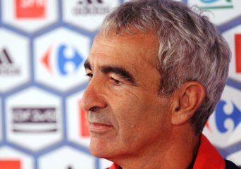 "Ne soyez pas trop cons" : le message de Domenech aux supporters lyonnais
