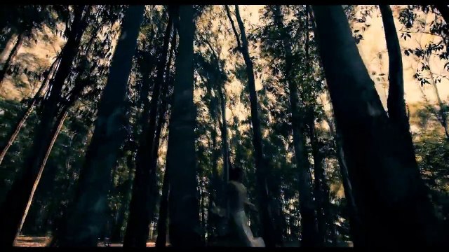 Les Lettres portugaises