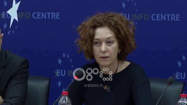 Ora News - Negociatat, Vlahutin: Shqipëria ka bërë progres dhe kjo do njihet në raport