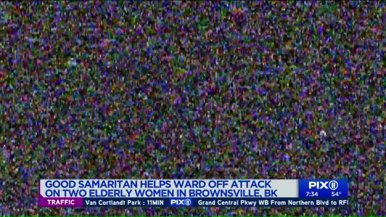 Good Samaritan Rescues Two Elderly Women from Attack in NYC