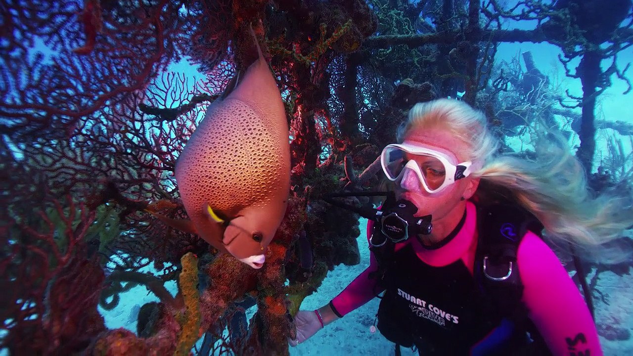 Dive Like James Bond in the Bahamas