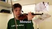 Il produit des sons d'animaux depuis son violon !