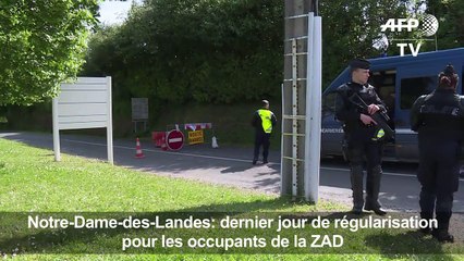 NDDL: les zadistes toujours déterminés à rester sur place