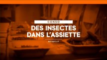 Des insectes dans l'assiette