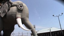 Lucy the Elephant: 65 Foot Elephant Margate, New Jersey (Axis Video)