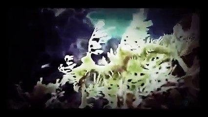 Criaturas Tenebrosas Discovery Channel www.locutor.pro part 2/2