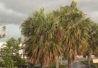 Thunderstorms Roll Across Florida