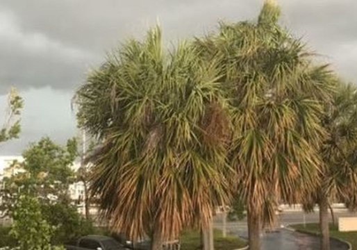 Thunderstorms Roll Across Florida