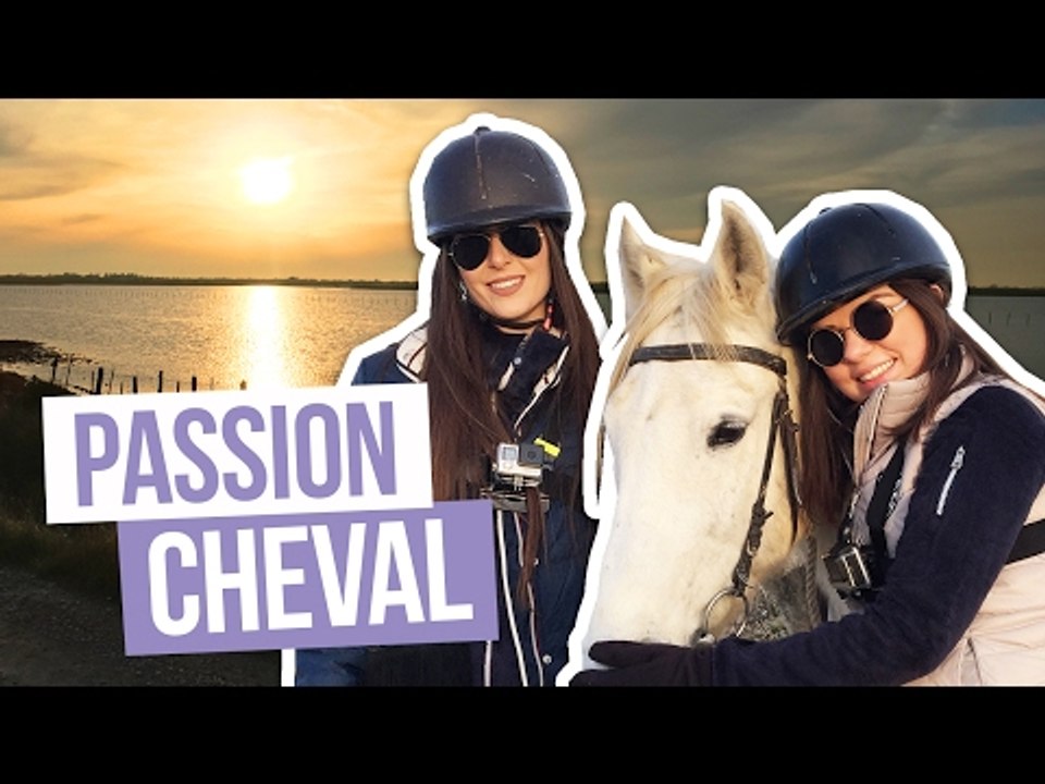 TEST - PASSION CHEVAL ! avec Clara Marz et Perfect Honesty