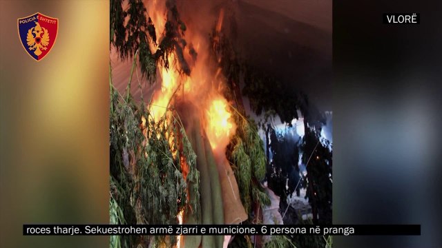 19.5 vite burg per te pandehurit e dosjes “Treblova”