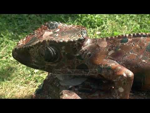 “Roman Abramoviç” në Presidencë - Top Channel Albania - News - Lajme