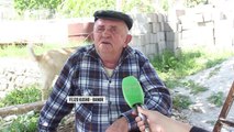 Qytetarë pa asnjë shërbim! Një lagje e tërë pa rrugë e ndriçim - Top Channel Albania - News - Lajme