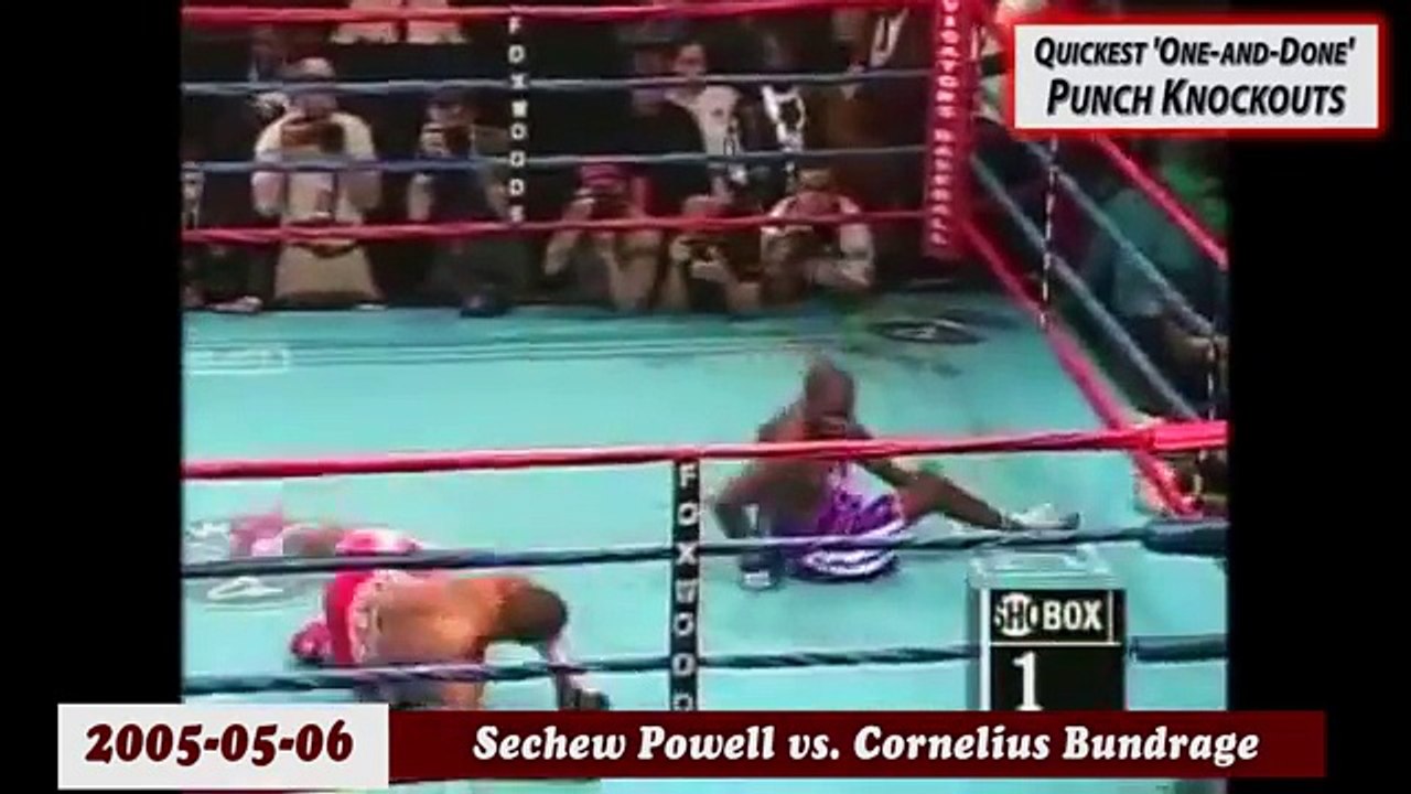 Quickest One-and-Done Punch Knockouts in Boxing History