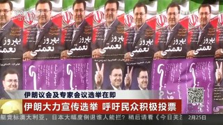 [中国新闻]伊朗议会及专家会议选举在即