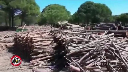Stop - Masakra në gjirin e Lalzit. 27 prill 2018