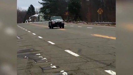 Passer la marche arrière à 65 kmh... ça donne ça!!!