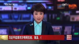 [中国新闻]习近平结束对沙特阿拉伯、埃及、伊朗国事访问回到北京