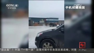 [中国新闻]加拿大发生校园枪击案