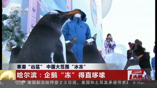 [中国新闻]寒潮“凶猛” 中国大范围“冰冻” 长江以北气温几乎全降至冰