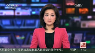[中国新闻]寒潮来袭 中国多地遭遇极寒天气 壶口瀑布现“流凌叉桥”美景