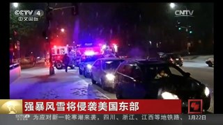 [中国新闻]强暴风雪将侵袭美国东部