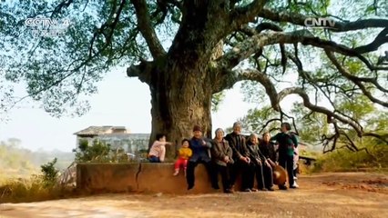 《记住乡愁第二季》 20160117 第十五集 五家村——务勤俭 禁奢华
