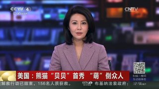 [中国新闻]美国：熊猫“贝贝”首秀 “萌”倒众人