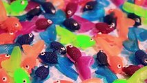 DIY Fish in a Bag Soap - Easy Soap Making How To for Beginners | SoCraftastic
