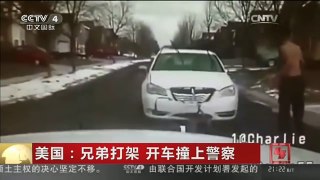 [中国新闻]美国：兄弟打架 开车撞上警察