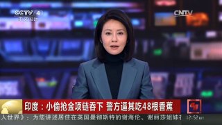 [中国新闻]印度：小偷抢金项链吞下 警方逼其吃48根香蕉