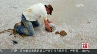 [中国新闻]澳大利亚：研究人员发现45亿年前古老陨石