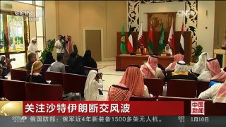 [中国新闻]关注沙特伊朗断交风波 沙特警告伊朗勿干涉别国内政